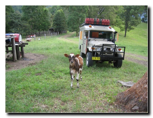 016 Little Francesca